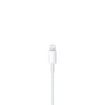 Cable-de-USB-C-a-Lightning--2-m-_2