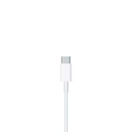 Cable-de-USB-C-a-Lightning--2-m-_3